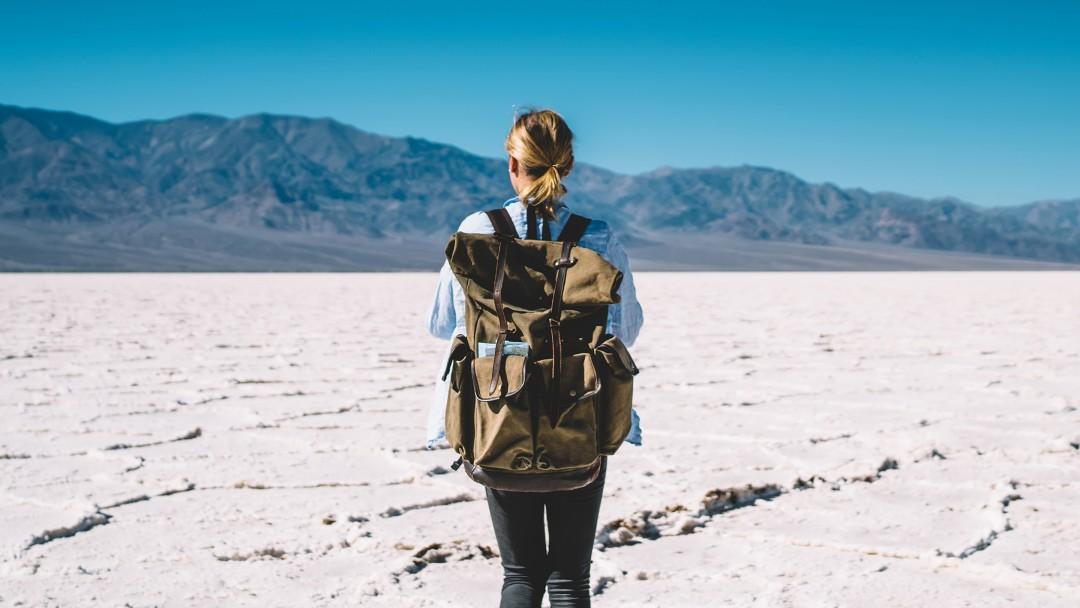 The Death Drive Won’t Be Your Last Road Trip