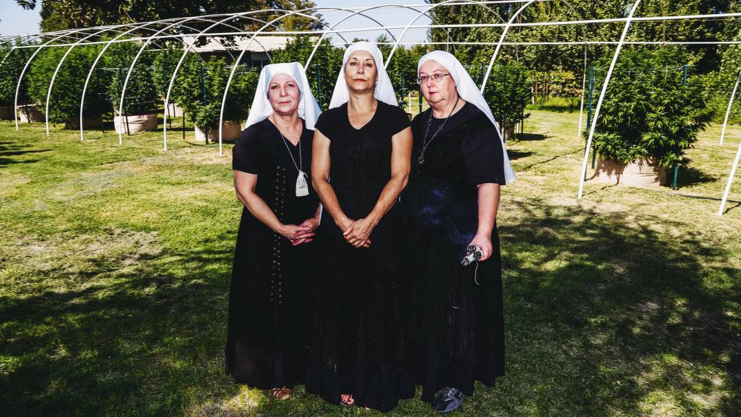 Sisters of the Valley: The Nuns Whose Religion Is Cannabis