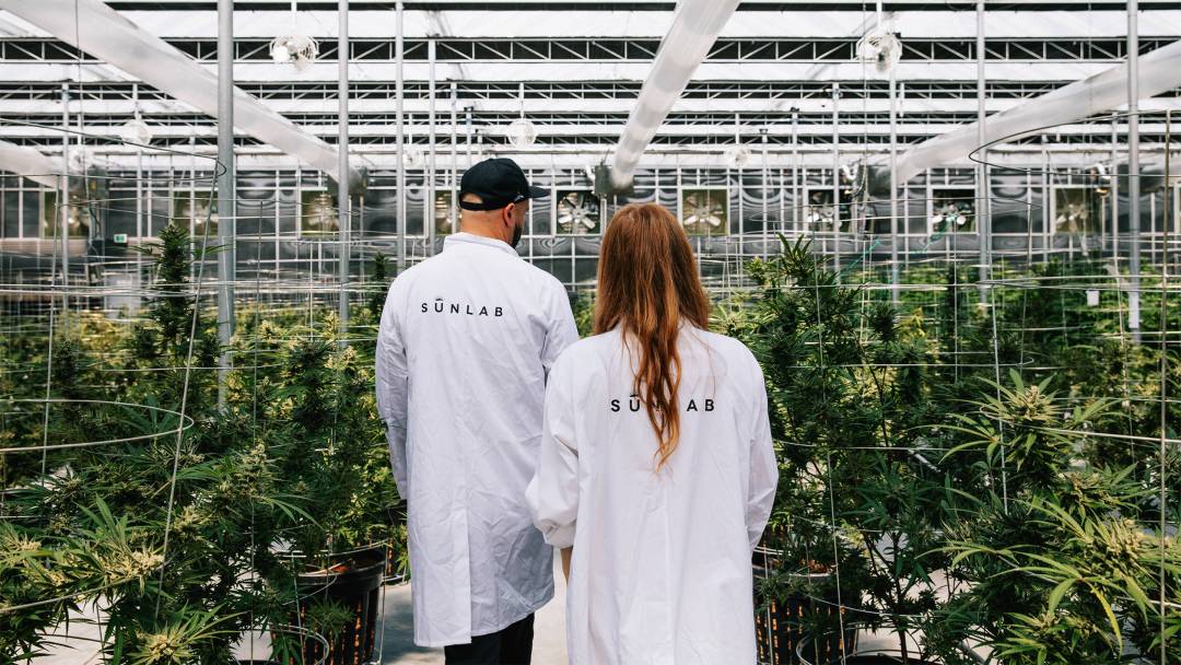Dank Rebel: Inside the Stunning World of a Canadian Cannabis Entrepreneur