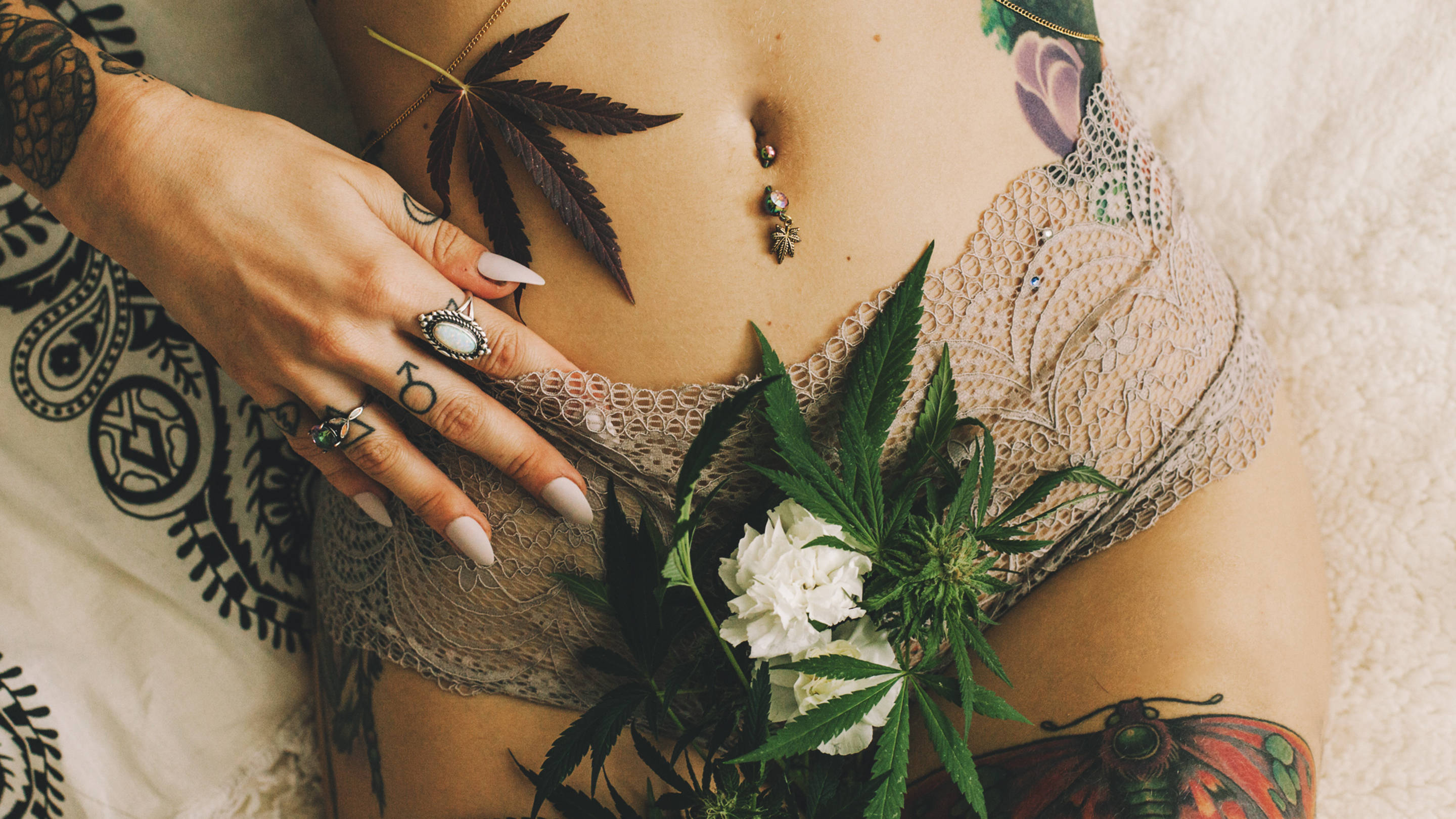 Cannabis lube playboy