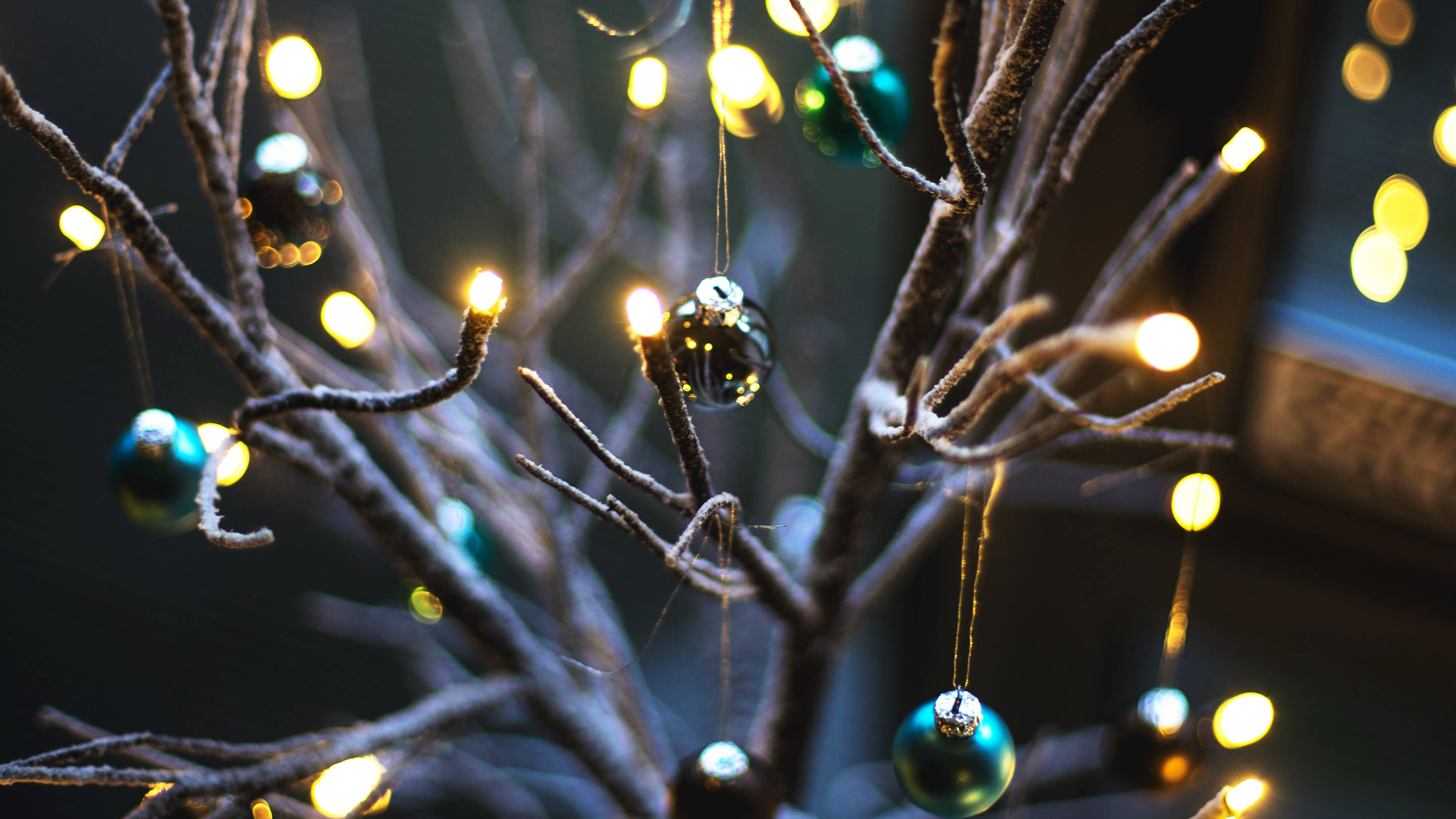 Climate change christmas playboy
