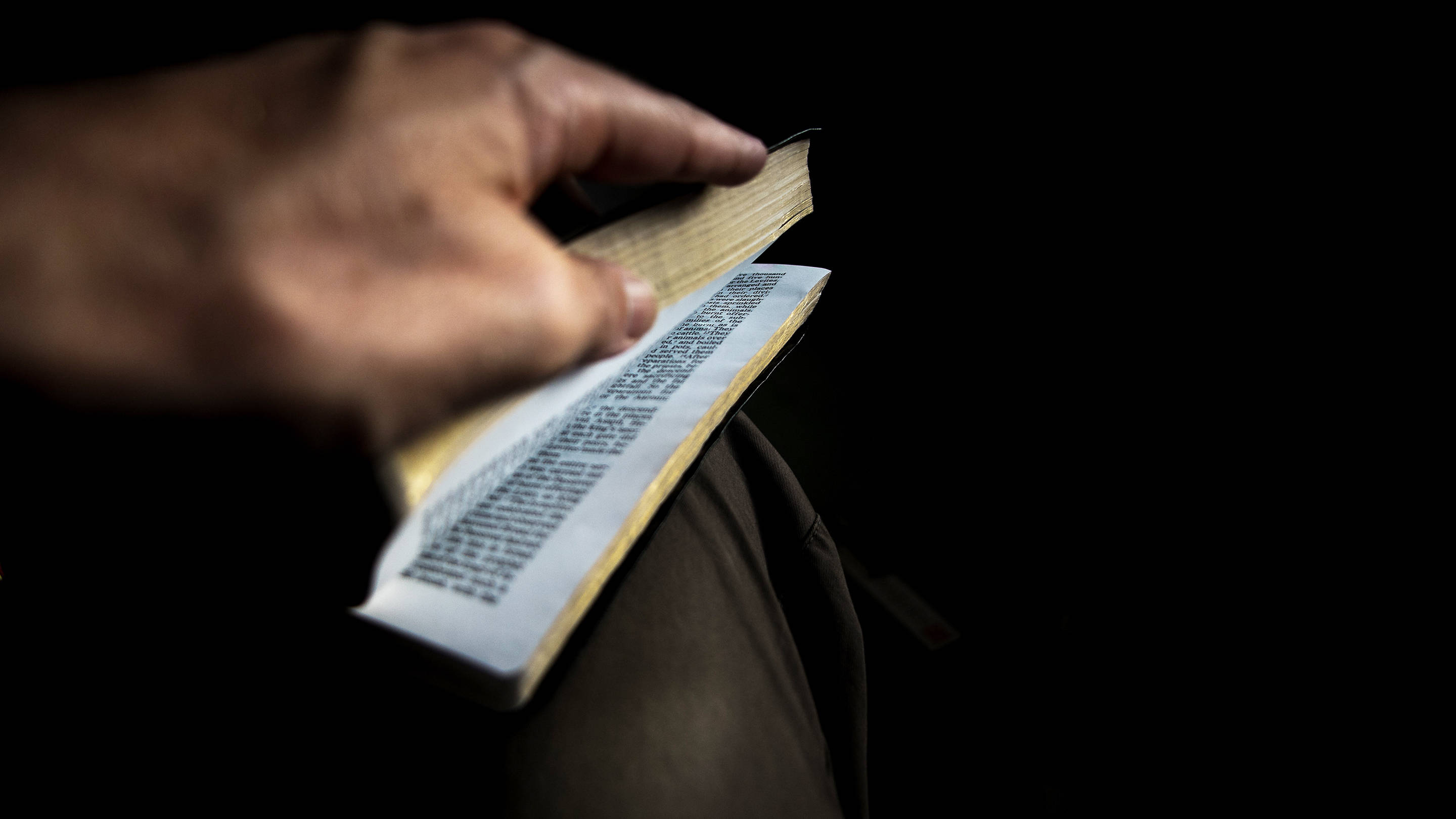 Man reading a book