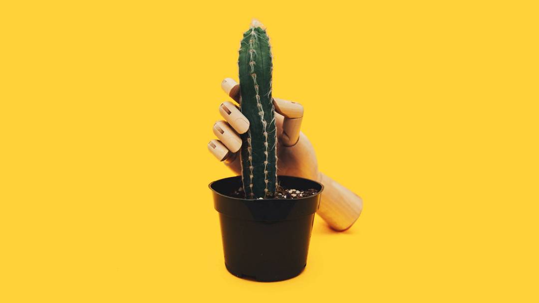 Meet the Women Who Design Sex Toys for Men