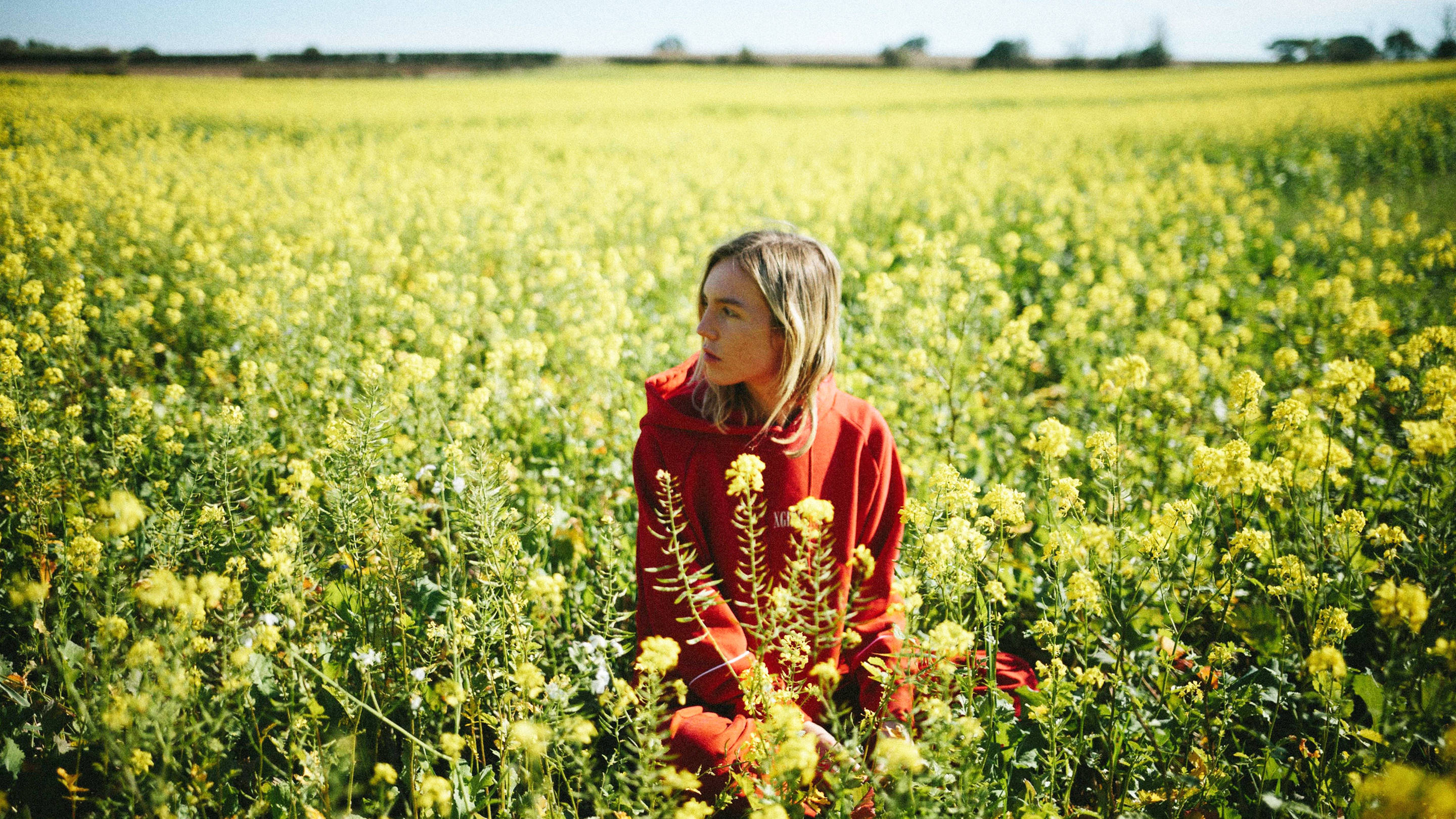Japanese house playboy the 1975