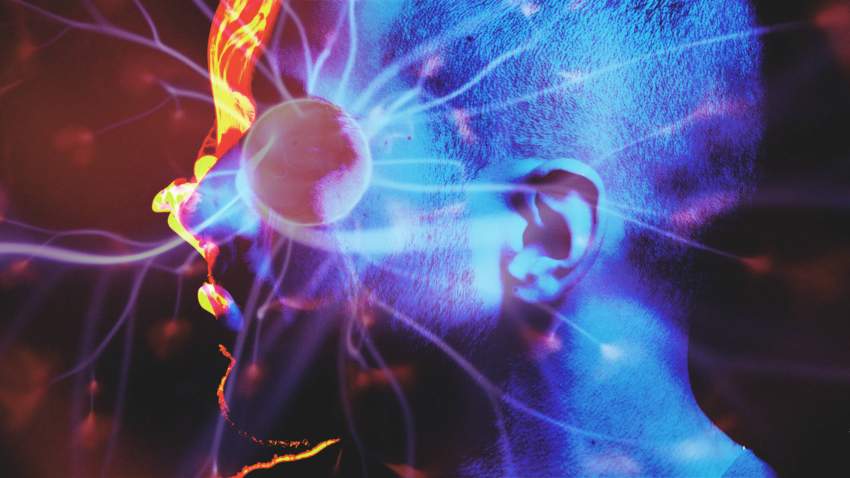 Brain waves