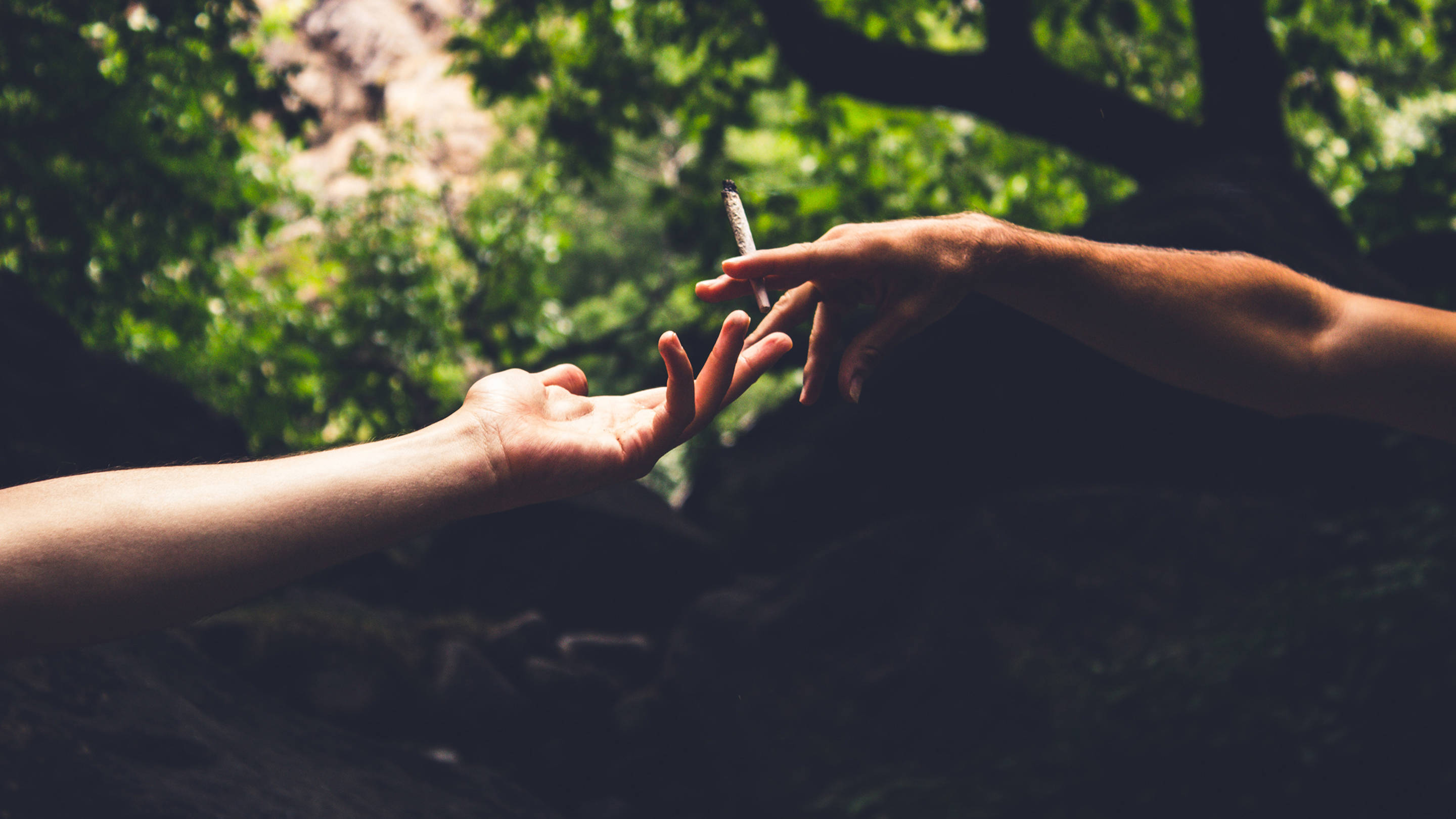 Cannabis sex playboy