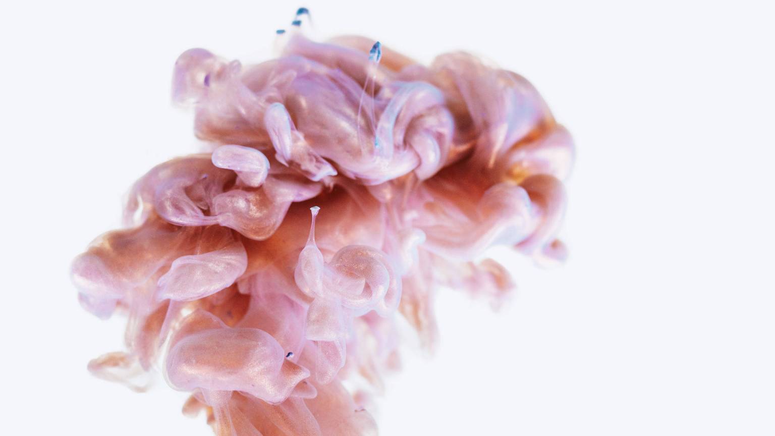 Look Into My Eyes: Inside the World of Erotic Hypnosis