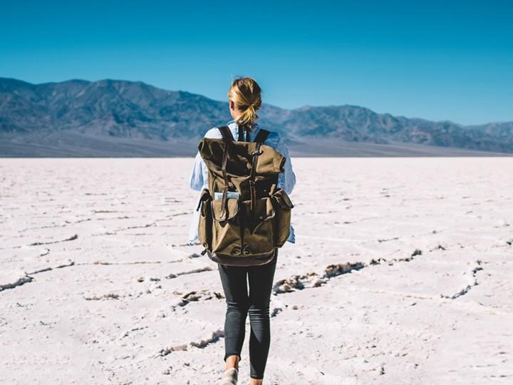 The Death Drive Won’t Be Your Last Road Trip