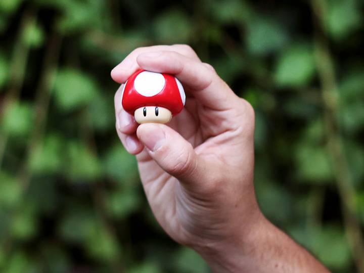 Leave Mushroom Dicks Alone